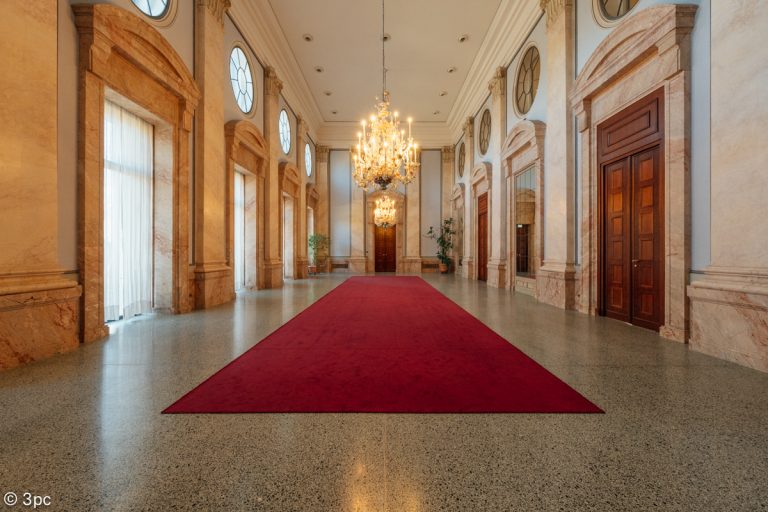 Salone delle Feste / Saalfest