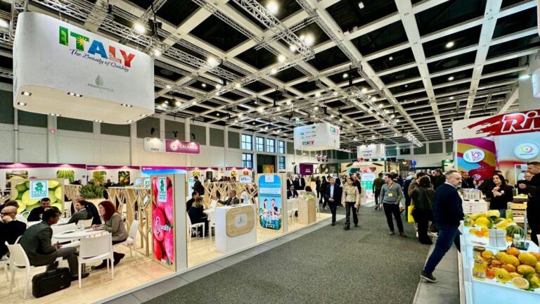 WhatsApp Image 2026-02-05 at 12.08.40